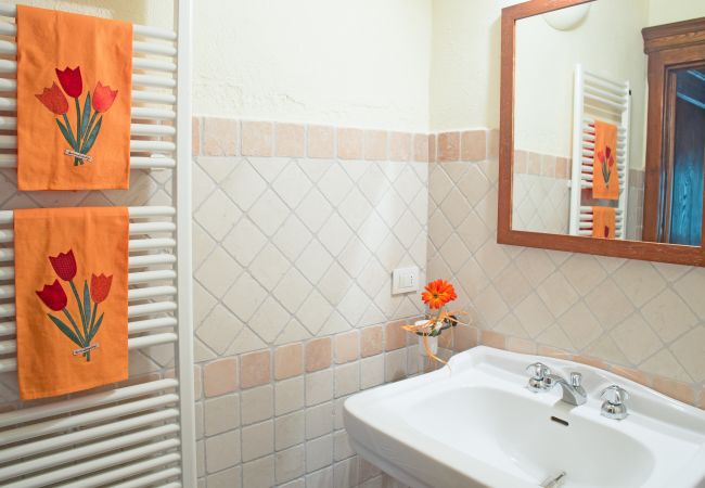 Ferienwohnung in Cinigiano - Romantic Stone Apartment Antico Ferienwohnung in Cinigiano - Romantic Stone Apartment Antico
