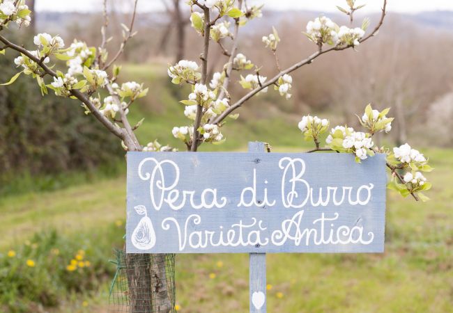 Ferienwohnung in Monte San Savino - Bio Lavanda Organic Agritourism