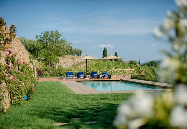 Ferienwohnung in Panzano - Luxury Chianti in La Rosa in Panzano Chianti