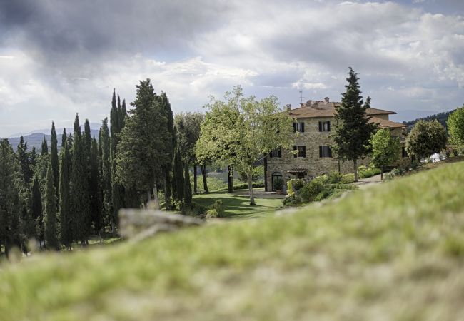 Ferienwohnung in Panzano - Luxury Chianti in Olive in Panzano Chianti