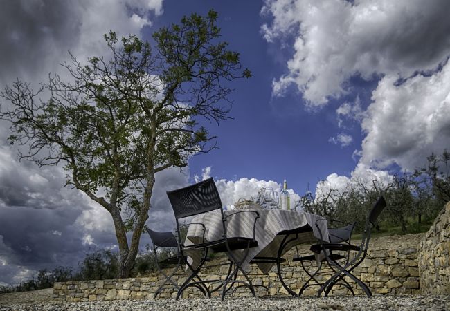 Ferienwohnung in Panzano - Luxury Chianti For Four in Panzano Chianti