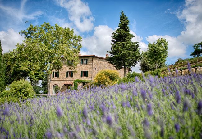 Ferienwohnung in Panzano - Luxury Chianti with 2 Bedrooms in Panzano Chianti