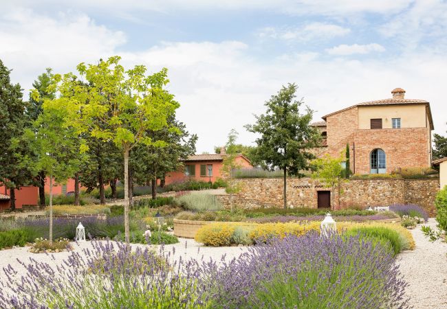 Ferienwohnung in Trequanda - Luxury 2 Rooms Apt. Cypress in  Siena Resort Ferienwohnung in Trequanda - Luxury 2 Rooms Apt. Cypress in  Siena Resort