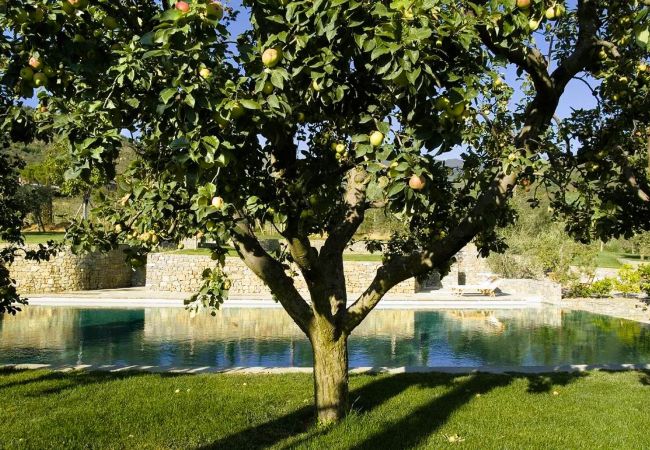 Villa in Pian di Sco - Villa Meli in most Exclusive Borgo in Tuscany Villa in Pian di Sco - Villa Meli in most Exclusive Borgo in Tuscany