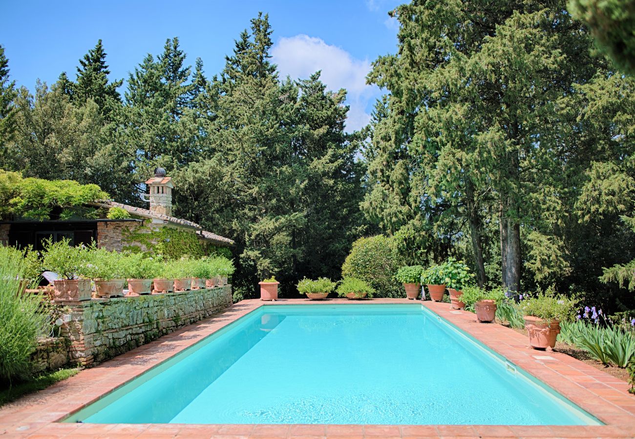 Villa in Castellina in Chianti - Luxury Villa in Chianti with Winery up to 6 Guests