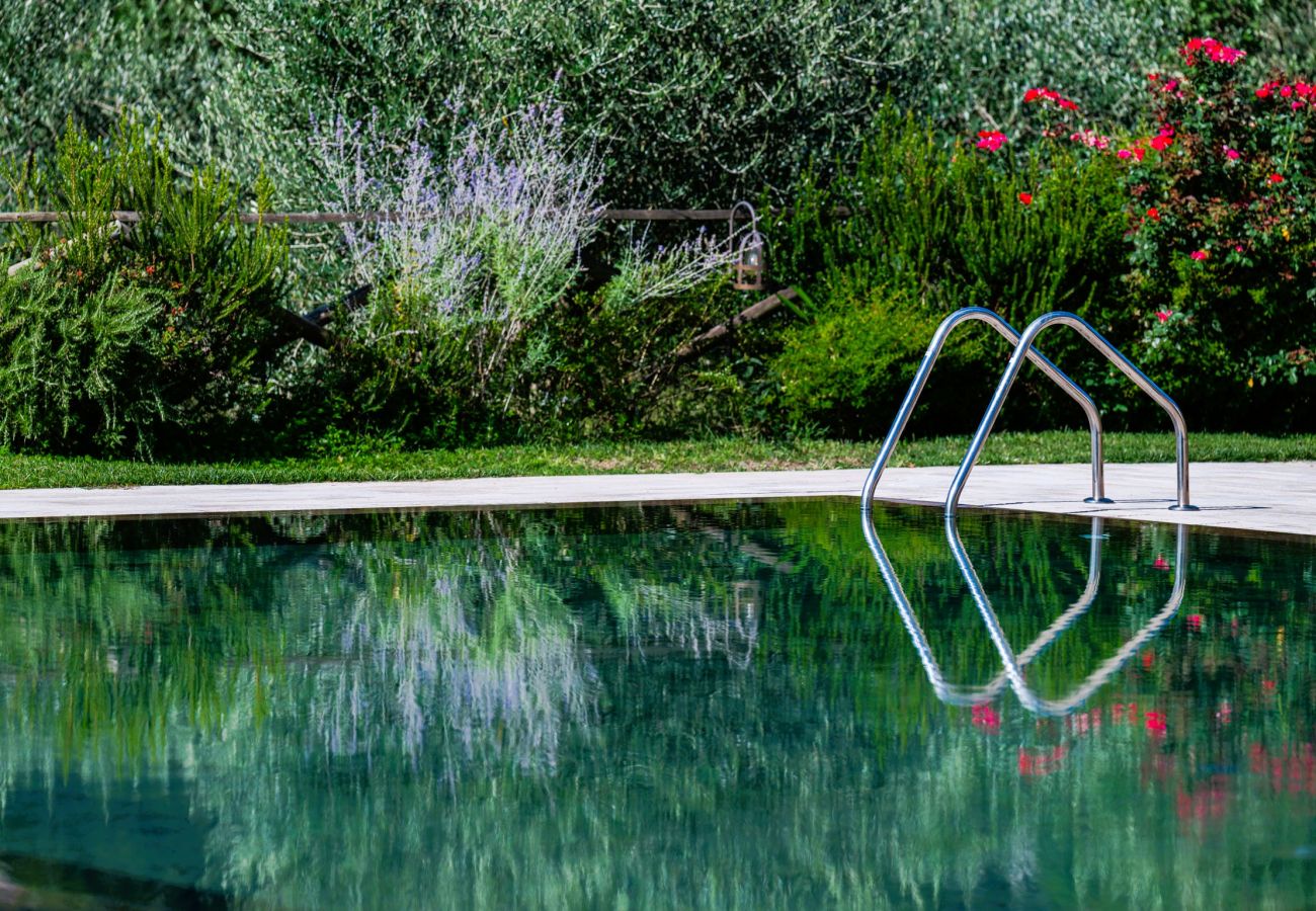 Villa in Massa e Cozzile - Villa V.I.P. Golf & Termal Baths