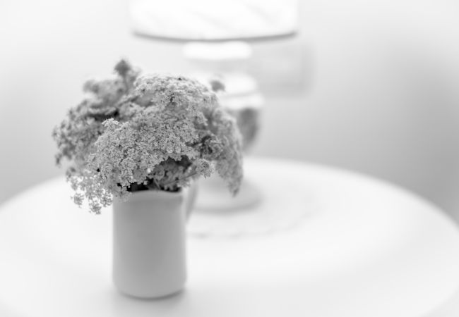 Appartement à Asciano - Your Agritourism with Pool at Lillanovo Appartement à Asciano - Your Agritourism with Pool at Lillanovo