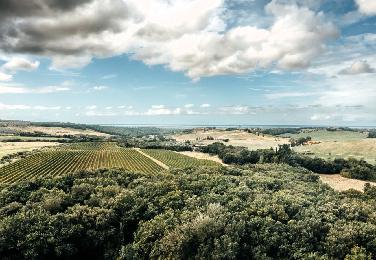 Appartement à Bibbona - Nest for Couples close to Seaside