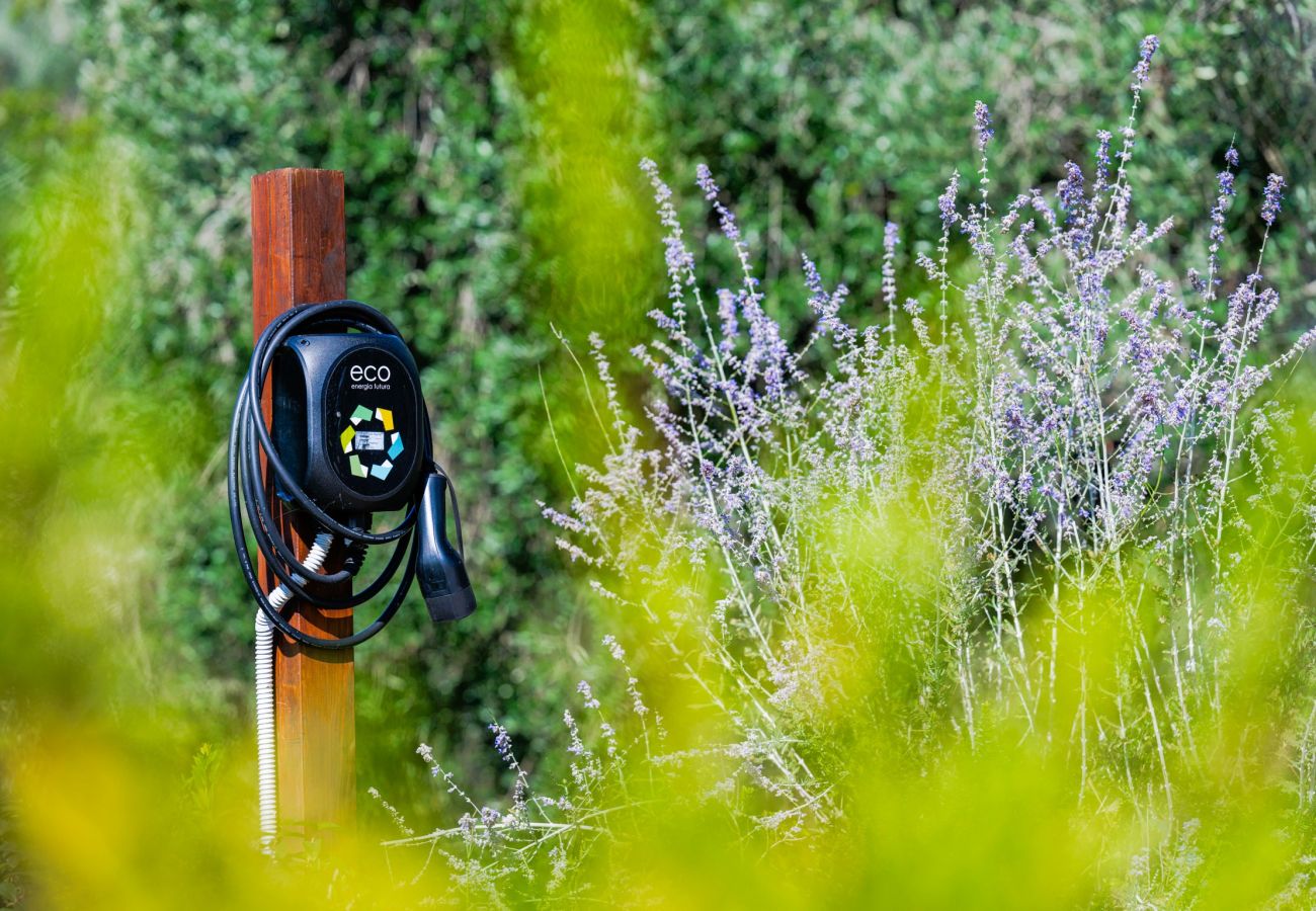 Villa à Massa e Cozzile - Villa V.I.P. Golf & Termal Baths