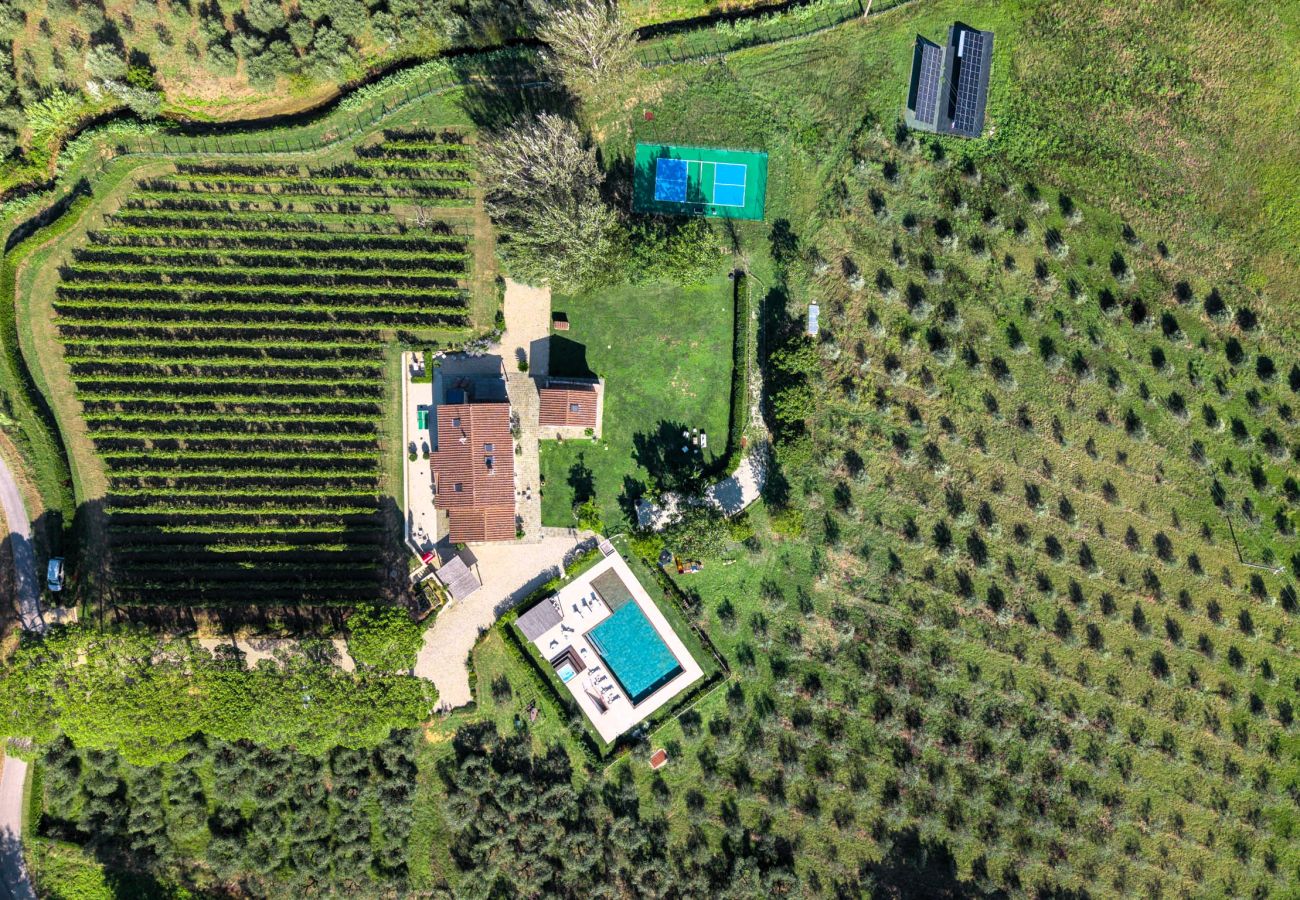 Villa à Massa e Cozzile - Villa V.I.P. Golf & Termal Baths