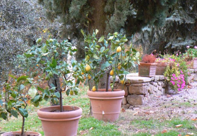 Appartamento a Monte San Savino - Villa Ceppeto, Best Of Tuscany for Your Family