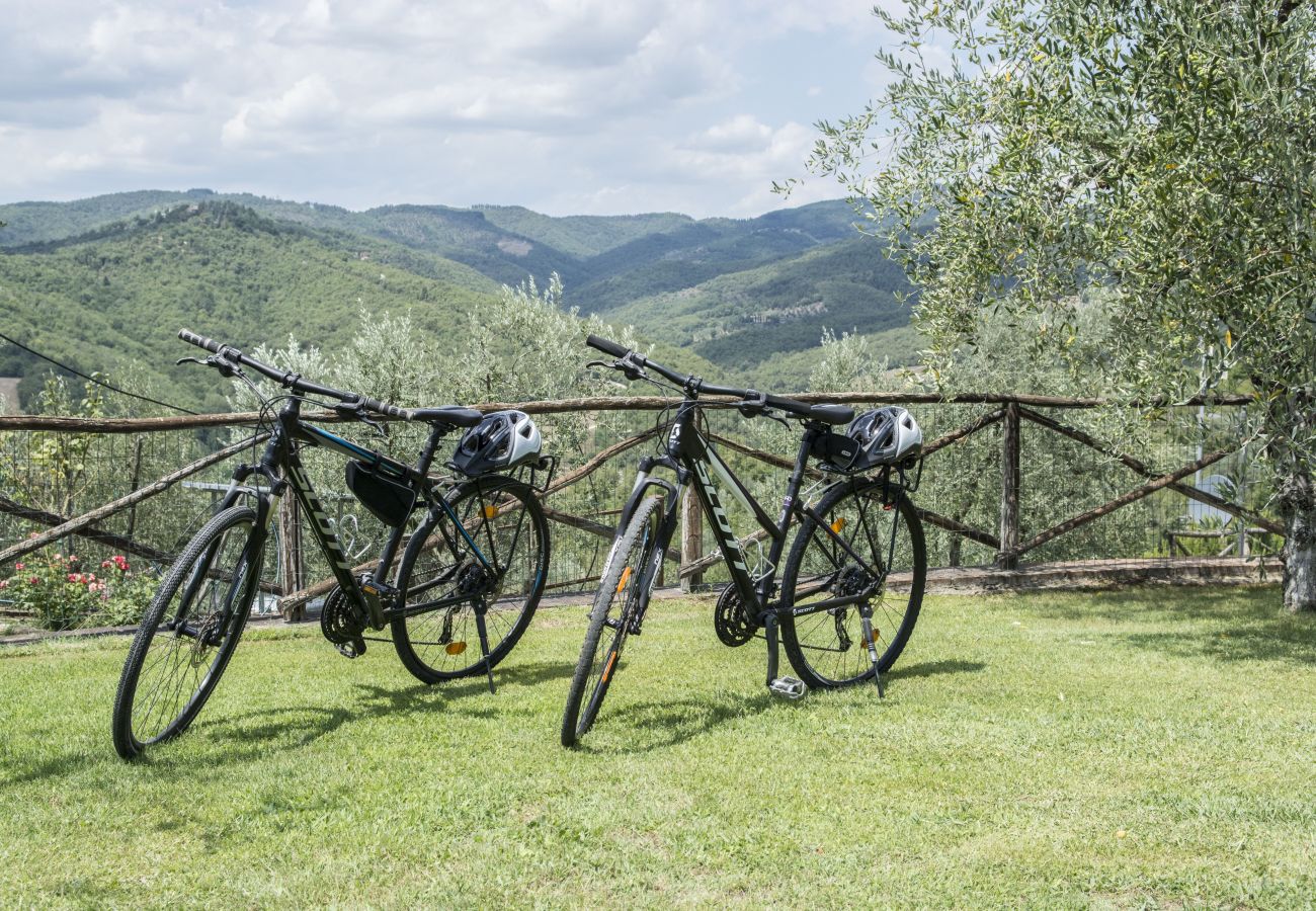 Appartamento a Bucine - Nest in Chianti at Marioli