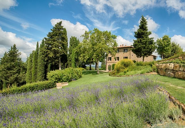 Appartamento a Panzano - Luxury Chianti in Olive in Panzano Chianti