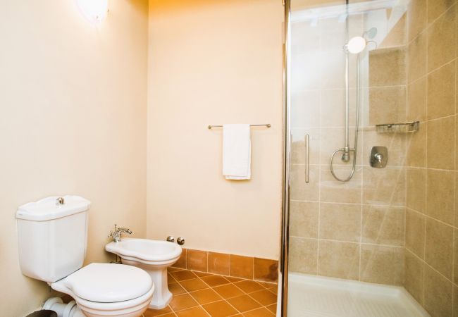 Appartamento a Trequanda - Luxury 3 Rooms Apt. Olives in Siena Resort Appartamento a Trequanda - Luxury 3 Rooms Apt. Olives in Siena Resort