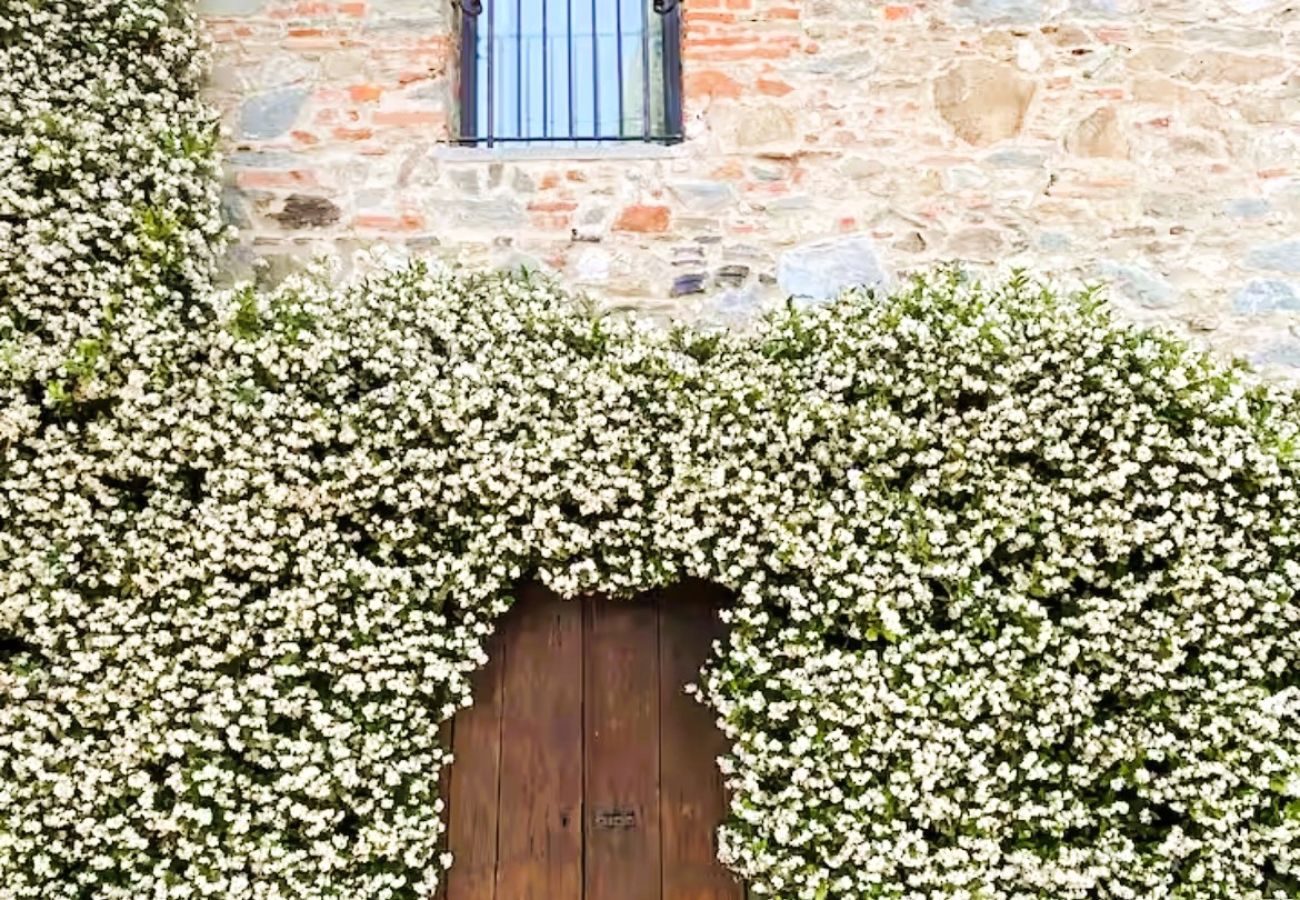 Villa a Carmignano - BestOfTuscany Historic Villa Fattoria La Serra
