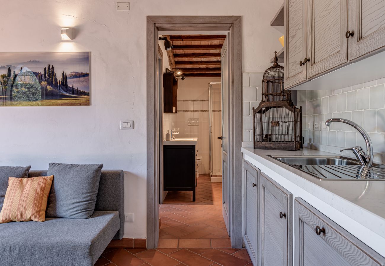 Villa in Civitella in Val di Chiana - Tuscany Villa with Breathtaking View at Dotholiday