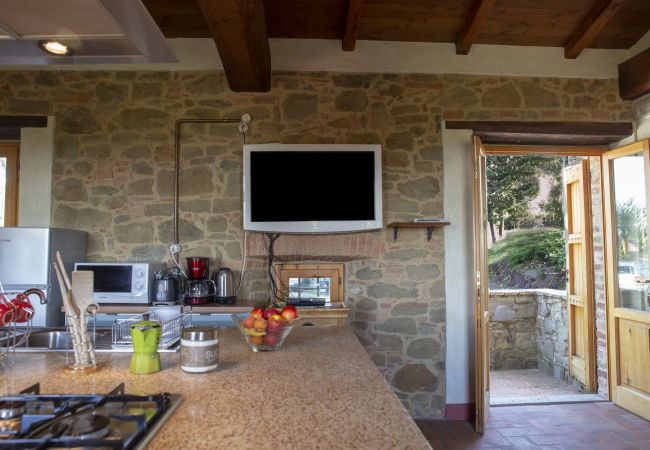 Appartement in Monte San Savino - Villa Ceppeto, Best Of Tuscany for Your Family