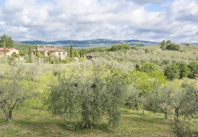 Appartement in Monte San Savino - Bio Bigonia Organic Agritourism