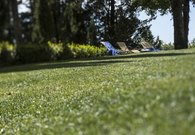 Appartement in Panzano - Luxury Chianti For Four in Panzano Chianti Appartement in Panzano - Luxury Chianti For Four in Panzano Chianti