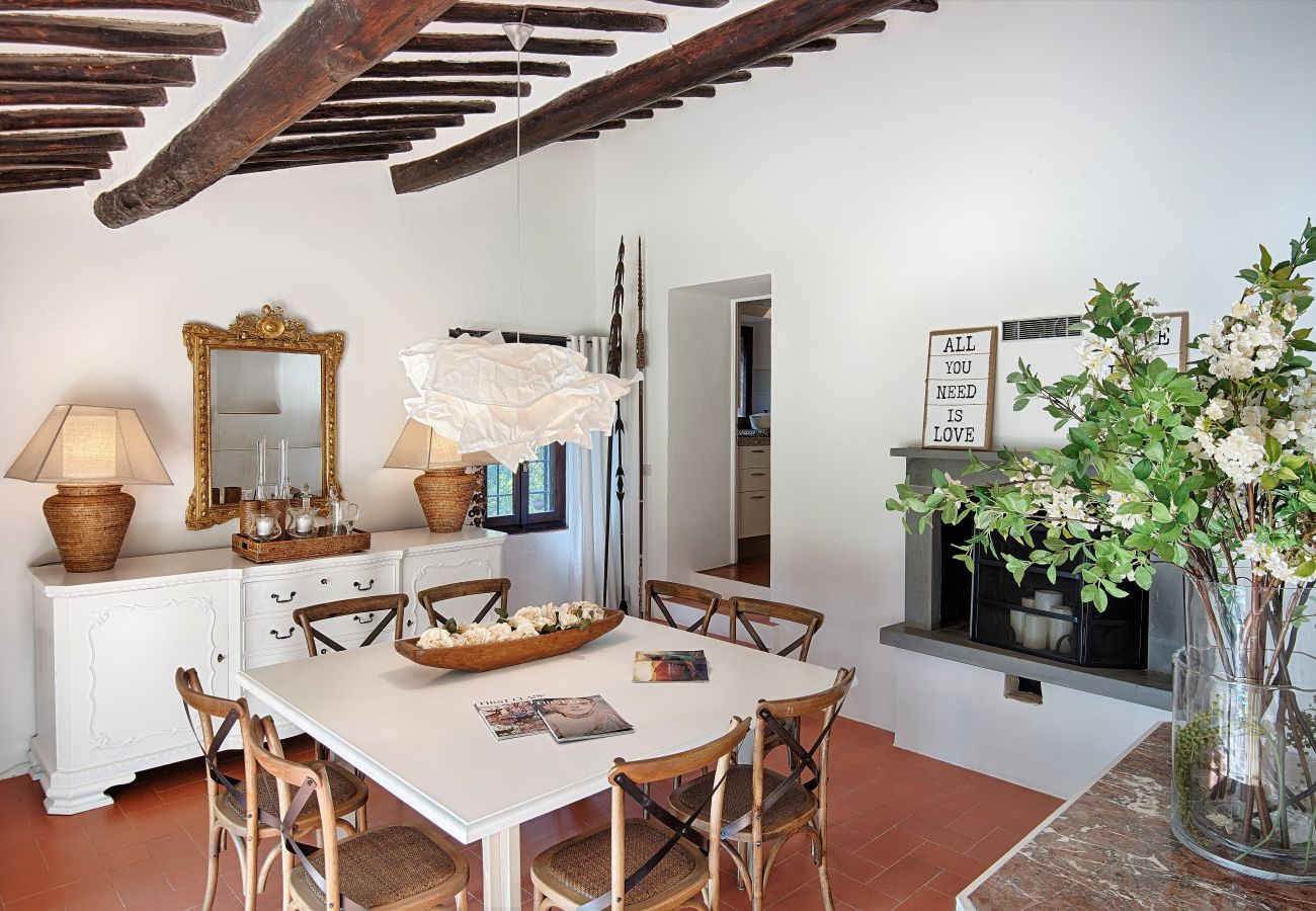 Villa in Castellina in Chianti - Luxury Villa in Chianti with Winery up to 8 Guests