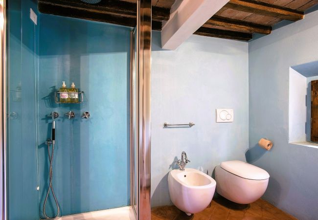 Appartement in Certaldo - Luxury, Sustainability and Eco Pool in Forno Apt. Appartement in Certaldo - Luxury, Sustainability and Eco Pool in Forno Apt.