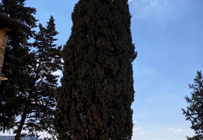 Appartement in Certaldo - Luxury, Sustainability and Eco Pool in Style Apt. Appartement in Certaldo - Luxury, Sustainability and Eco Pool in Style Apt.