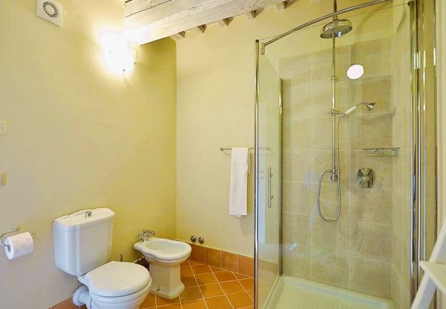 Appartement in Trequanda - Luxury 3 Rooms Apt. Olives in Siena Resort Appartement in Trequanda - Luxury 3 Rooms Apt. Olives in Siena Resort