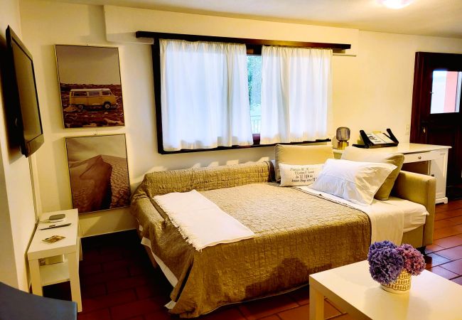 Appartement in Montagnola - Just Restored close to Franklin College and Lugano Appartement in Montagnola - Just Restored close to Franklin College and Lugano