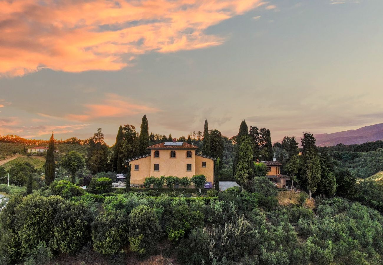 Villa in Terranuova Bracciolini - Villa Valdarno up to 12 Guests