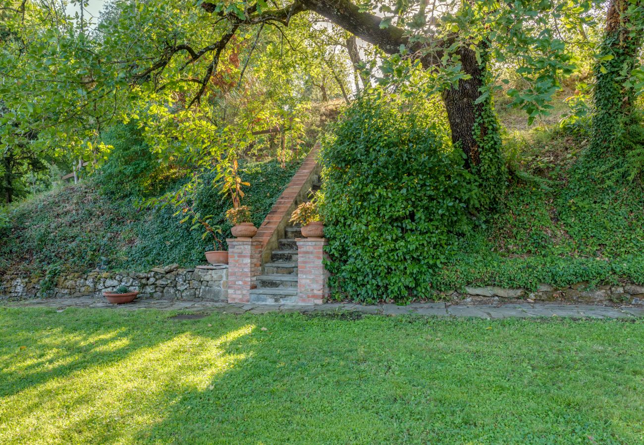 Villa in Monte San Savino - Villa La Gioga