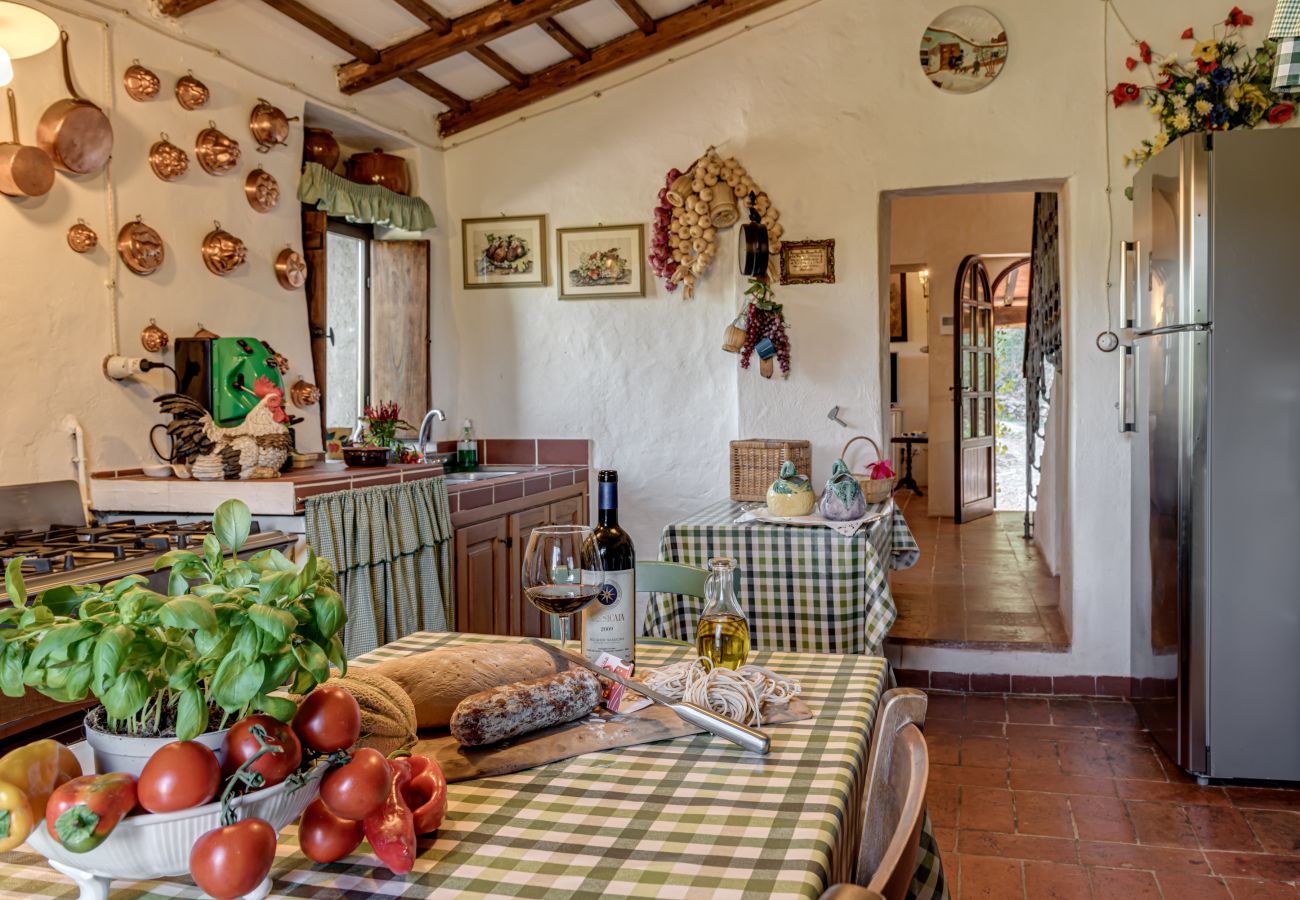 Villa in Monte San Savino - Villa La Gioga