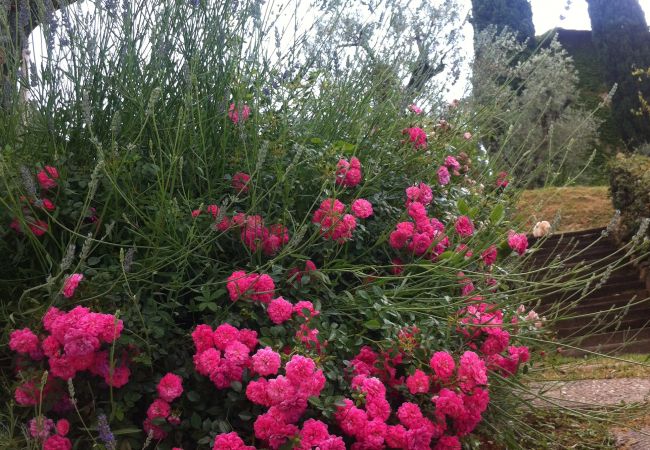 Apartment in Monte San Savino - Villa Ceppeto for Your Family w/ Tesla Charger Apartment in Monte San Savino - Villa Ceppeto for Your Family w/ Tesla Charger