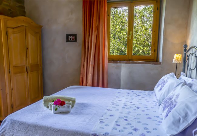 Apartment in Monte San Savino - Villa Ceppeto, Best Of Tuscany for Your Family