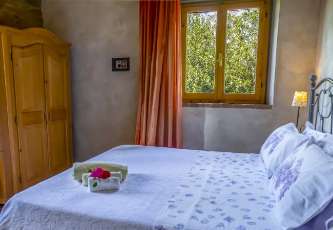 Apartment in Monte San Savino - Villa Ceppeto for Your Family w/ Tesla Charger Apartment in Monte San Savino - Villa Ceppeto for Your Family w/ Tesla Charger