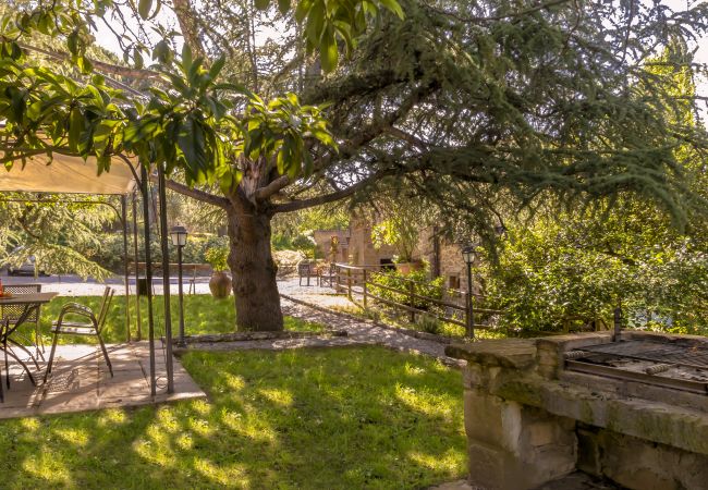 Apartment in Monte San Savino - Villa Ceppeto for Your Family w/ Tesla Charger Apartment in Monte San Savino - Villa Ceppeto for Your Family w/ Tesla Charger