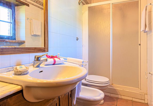 Apartment in Bucine - Chianti for Four at Marioli Apartment in Bucine - Chianti for Four at Marioli