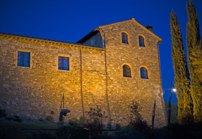 Apartment in Cinigiano - Typical Stone House looking Banfi Wineries