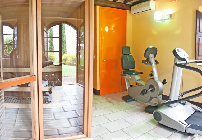 Apartment in Cinigiano - Typical Stone House looking Banfi Wineries