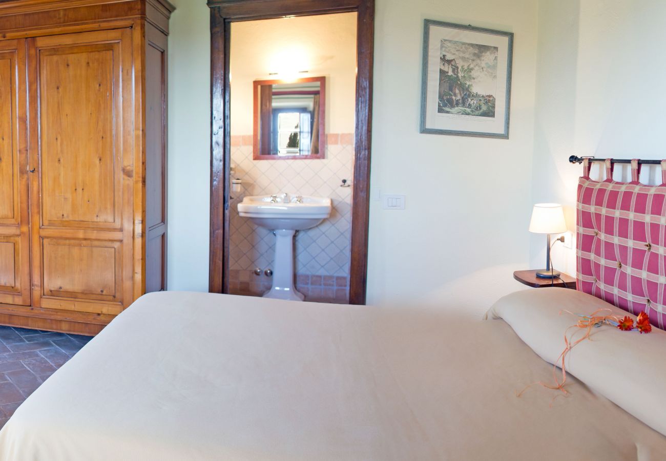 Apartment in Cinigiano - Typical Stone House looking Banfi Wineries