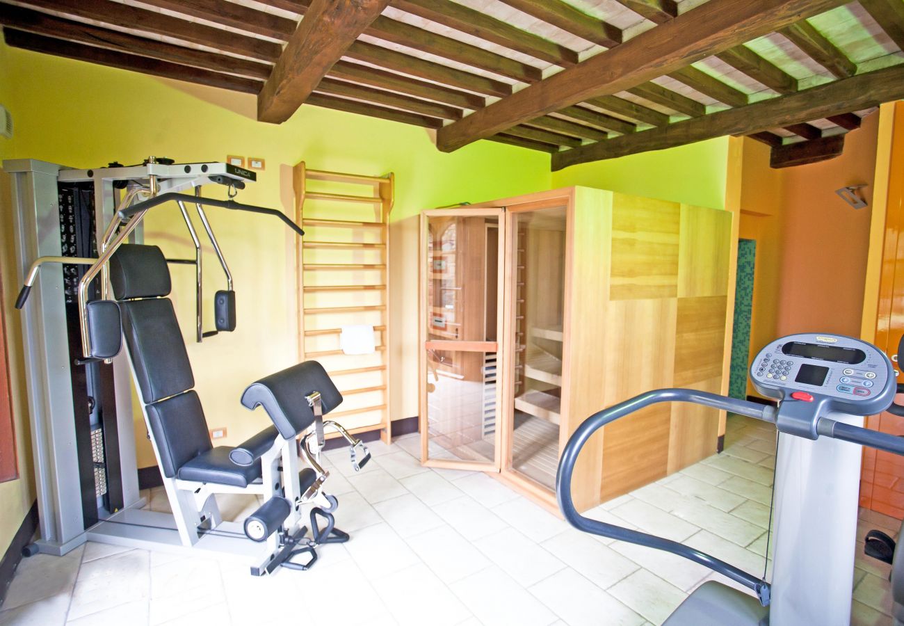 Apartment in Cinigiano - Typical Stone House looking Banfi Wineries