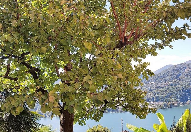 Apartment in Montagnola - Close to Franklin College and Lugano Center