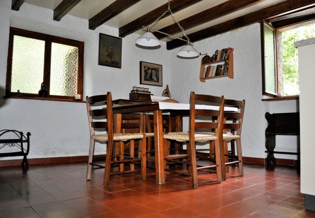 Cottage in Lelgio - Typical, Romantic Tessiner Cottage