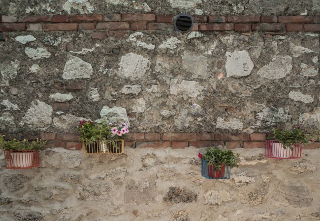 Apartment in Asciano - Ficonovo is Your Agritourism with Pool Apartment in Asciano - Ficonovo is Your Agritourism with Pool