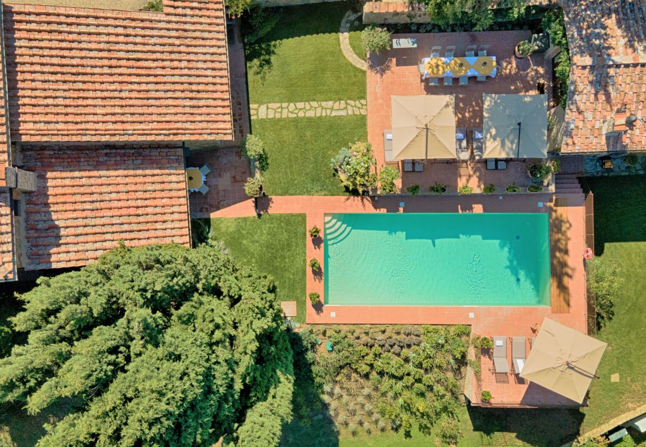 Villa in Castellina in Chianti - Luxury Villa in Chianti with Winery up to 8 Guests