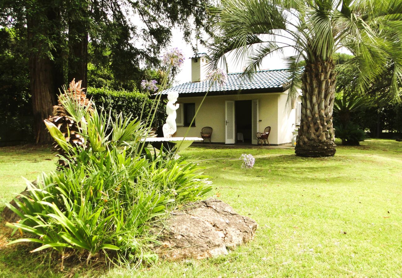 Villa in Cinquale - New Entry: Villa Forte dei Marmi in Versilia