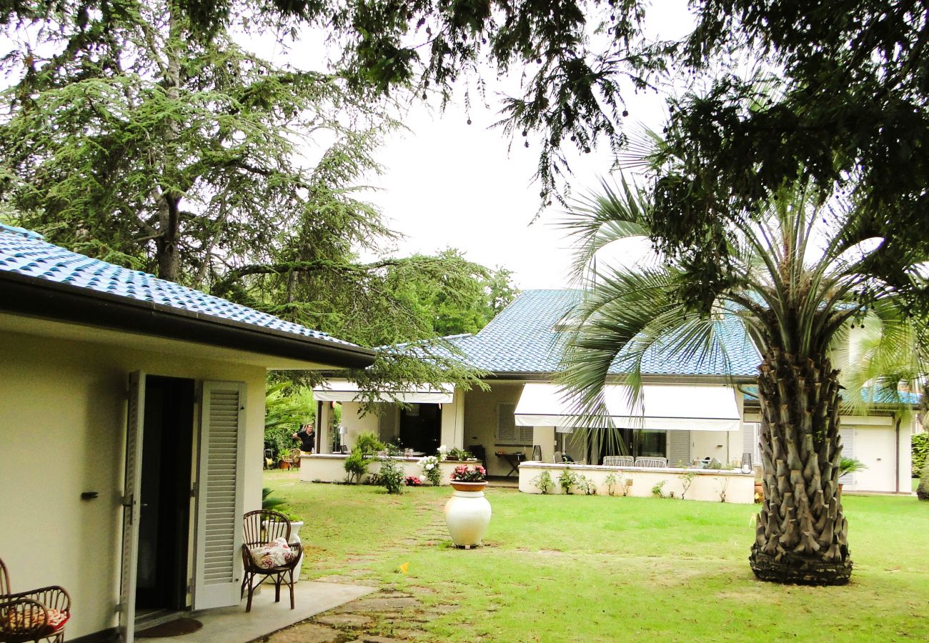 Villa in Cinquale - New Entry: Villa Forte dei Marmi in Versilia