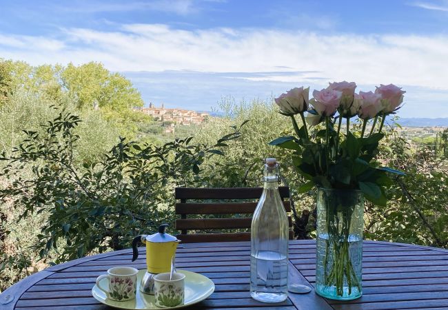 Apartment in Monte San Savino - Villa Ceppeto's Brand New Nest w/ Tesla Charger Apartment in Monte San Savino - Villa Ceppeto's Brand New Nest w/ Tesla Charger