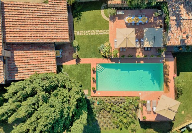 Villa/Dettached house in Castellina in Chianti - Luxury Villa in Chianti with Winery up to 4 Guests