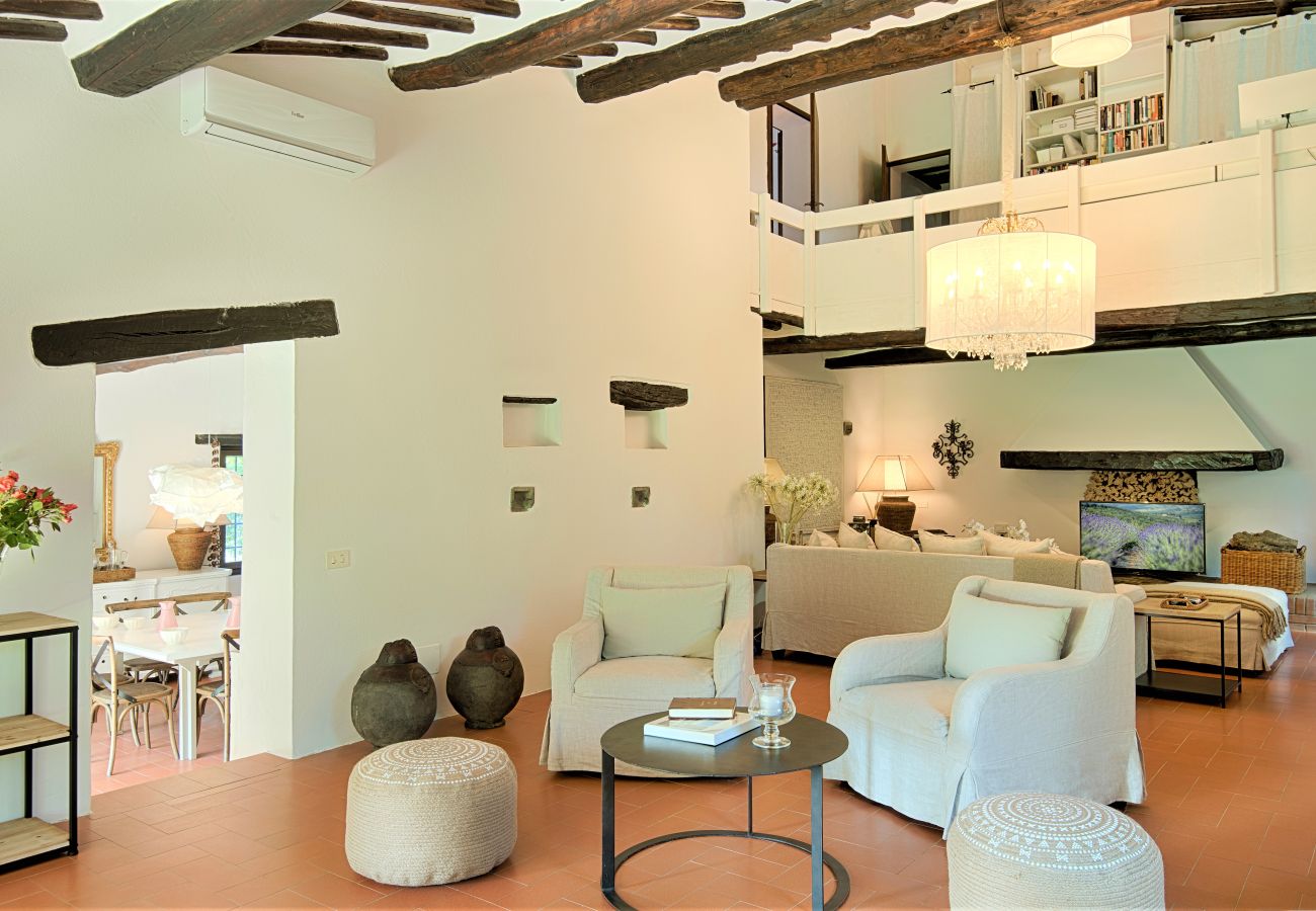 Villa in Castellina in Chianti - Luxury Villa in Chianti with Winery up to 4 Guests