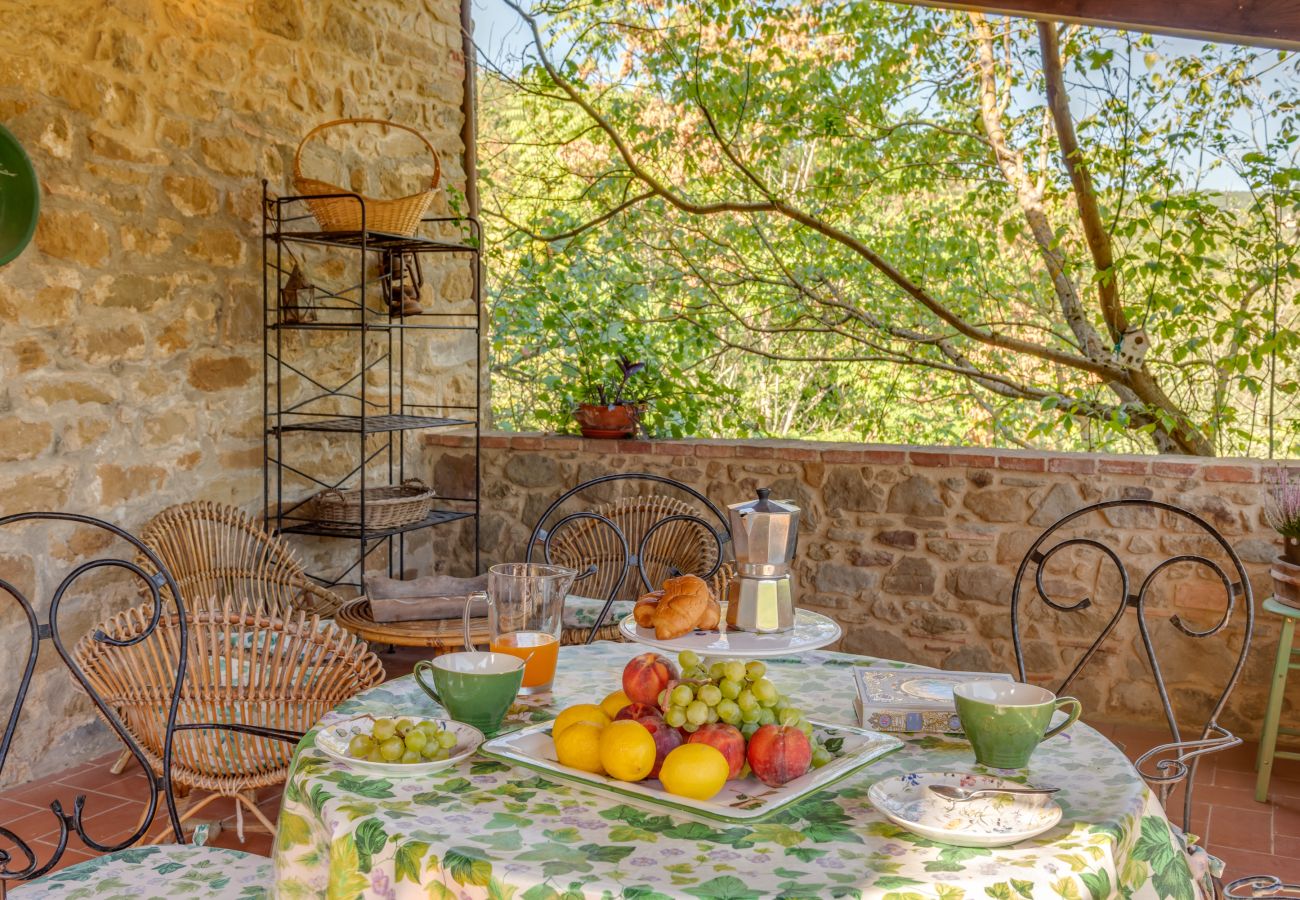 Villa in Monte San Savino - Villa La Gioga